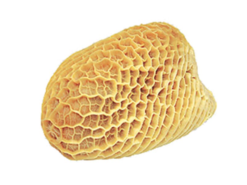 Honeycomb