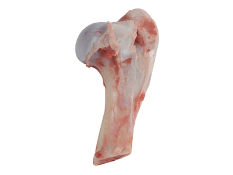 Femur
