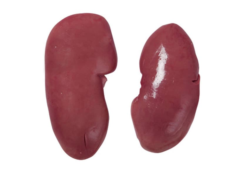Kidney