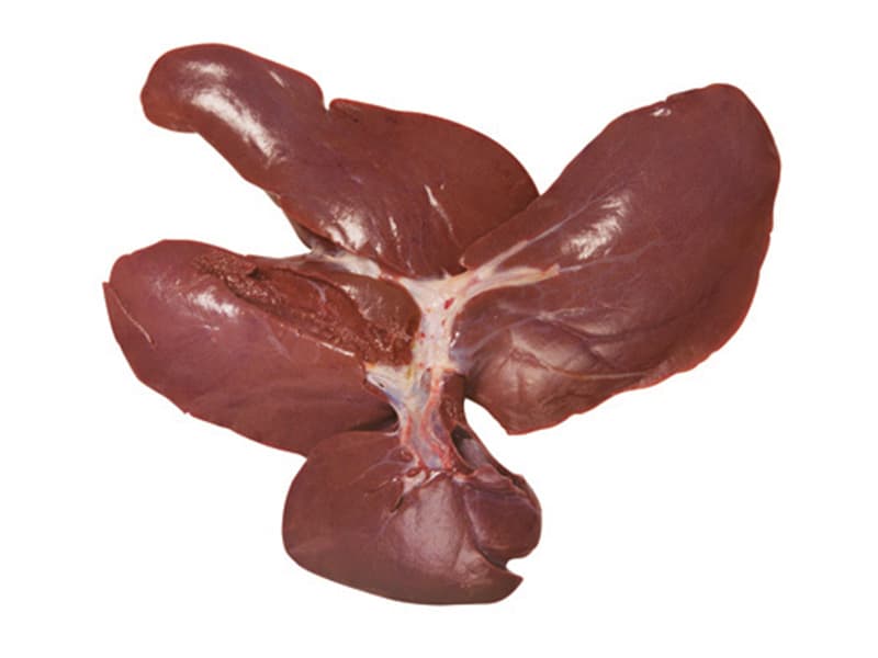 Liver