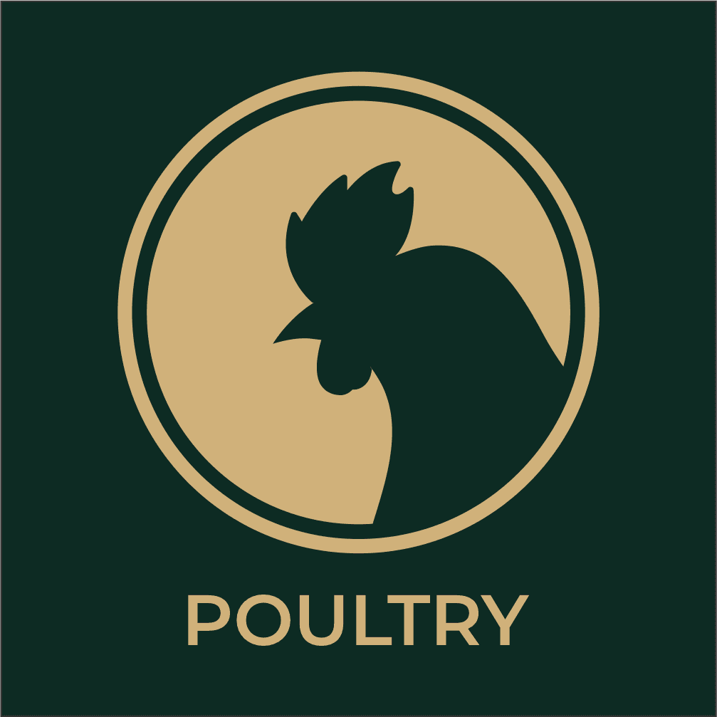 Poultry